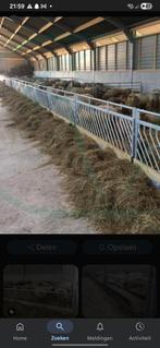 Gezocht! Voerrekken, Dieren en Toebehoren