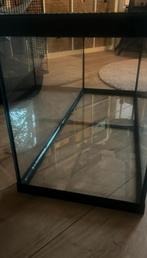Glazen terrarium 80 x 30, Dieren en Toebehoren, Ophalen