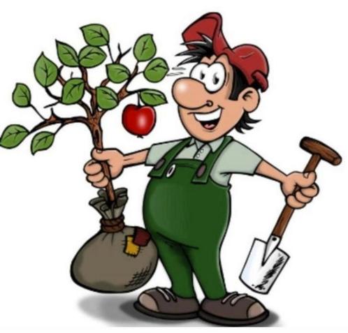 Tuinman gezocht? Zoek niet verder, Tuin en Terras, Hand-tuingereedschap, Overige soorten, Ophalen