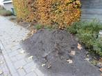 Ongeveer 1m3 zwart zand (tuinaarde), Tuin en Terras, Zand, Ophalen, Zo goed als nieuw, Ophoogzand