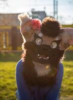 Fursuit cat, Hobby en Vrije tijd, Kostuums, Theaterbenodigdheden en LARP, Ophalen of Verzenden, Zo goed als nieuw, Overige typen