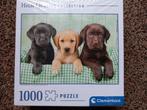 Puzzel Clementoni 3 pups labrador labs honden 1000 stukjes, Ophalen of Verzenden, 500 t/m 1500 stukjes, Nieuw, Legpuzzel