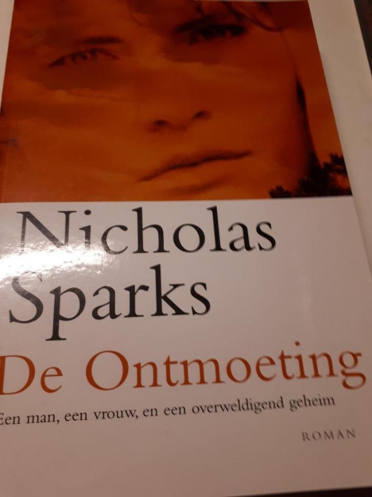 De Ontmoeting - Nicholas Sparks, Boeken, Romans, Gelezen, Ophalen of Verzenden
