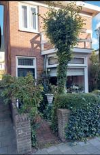Vrijstaand huis te koop Ijmuiden, Huizen en Kamers, 85 m², Tot 200 m², Noord-Holland, 2 kamers
