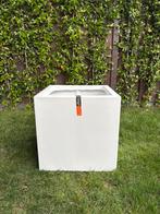 NIEUW Capi Pot 50x50cm WIT, Ophalen, Overige materialen, Minder dan 60 cm, Vierkant