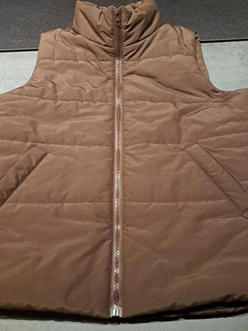 Bruine gevoerde bodywarmer,  maat L beschikbaar voor biedingen