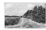 HEERDE - Sprengen(weg)   zie beschrijving, Verzamelen, Ansichtkaarten | Nederland, Verzenden, 1940 tot 1960, Gelderland
