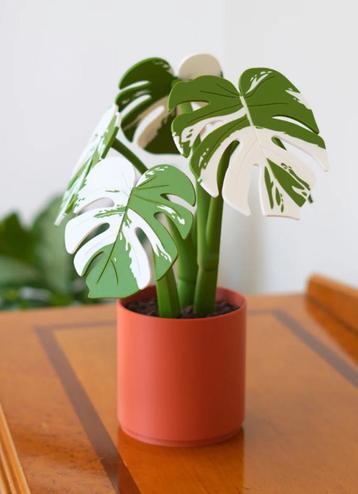 Monstera Plant onderzetters – 3D print – ForgeCore beschikbaar voor biedingen