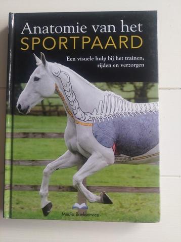 Anatomie van het sportpaard beschikbaar voor biedingen
