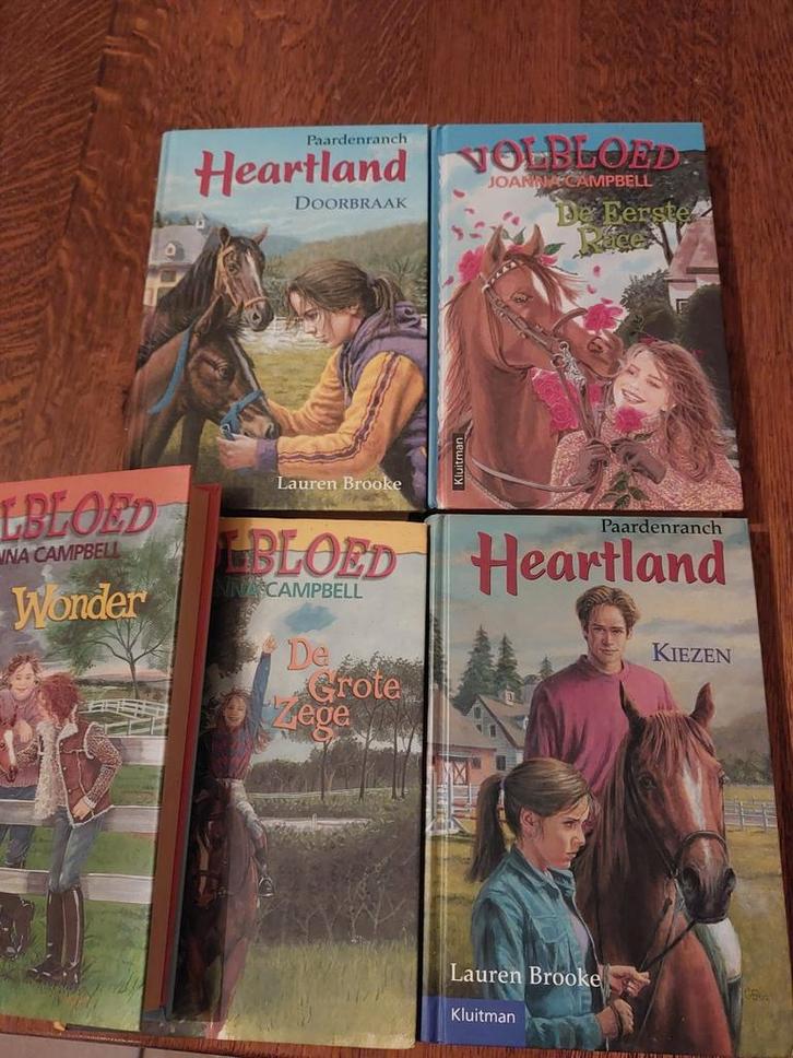 Heartland & Volbloed boeken - Joanna Campbell, Lauren Brooke, Boeken, Kinderboeken | Jeugd | onder 10 jaar, Gelezen, Fictie algemeen