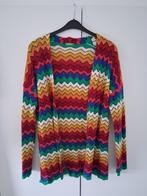 Benetton kleurig gebreid vest mt.L, Benetton, Ophalen, Zo goed als nieuw, Maat 42/44 (L)