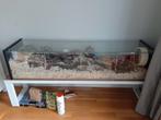 Glazen hamsterhok (knaagdieren) 161 cm met heel veel extra's, 110 cm of meer, Zo goed als nieuw, Hok, Ophalen