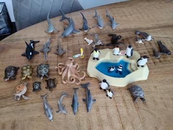 Schleich zeedieren, pinguïn, haai, schildpad, zeehond, orca. beschikbaar voor biedingen