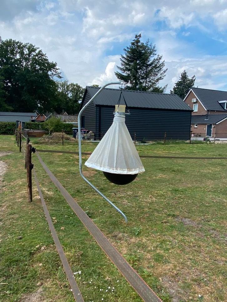 Dazenval/ dazenvanger, Dieren en Toebehoren, Stalling en Weidegang
