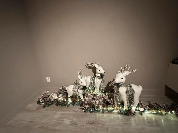 Set van 3 Herten met Verlichting - Feestelijke Decoratie, Diversen, Kerst, Nieuw, Ophalen