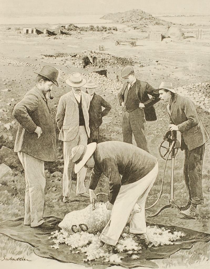 Schaapscheren - Antieke illustratie (1904), Verzamelen, Verzenden, Voor 1940, Zo goed als nieuw, Overige onderwerpen