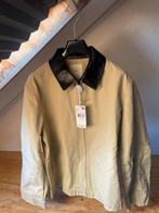 Katoenen jasje, Kleding | Dames, Jassen | Zomer, Nieuw, Ophalen of Verzenden, Maat 36 (S), Overige kleuren