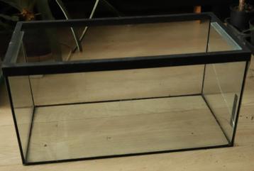 Terrarium. beschikbaar voor biedingen
