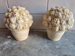 Betonnen bloemen voor in een bloempot, Ophalen, Zo goed als nieuw, Rond, Minder dan 25 cm