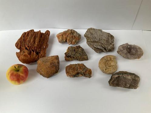 Grote stenen, fossiel, mica, amethist, ammoniet ed.samen €25, Antiek en Kunst, Antiek | Woonaccessoires, Ophalen