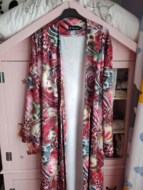 chrissize vest maat 3, Kleding | Dames, Grote Maten, Nieuw, Trui of Vest, Ophalen of Verzenden