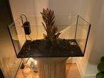 Aquarium 60L, Dieren en Toebehoren, Vissen | Aquaria en Toebehoren, Ophalen, Zo goed als nieuw, Leeg aquarium