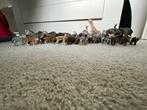 Te Koop Schleich en Papo dieren., Ophalen of Verzenden, Zo goed als nieuw