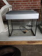 Aquarium 20 met verlichting, Ophalen, Zo goed als nieuw, Leeg aquarium