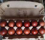 12 marans broedeieren, Dieren en Toebehoren, Pluimvee, Geslacht onbekend, Kip