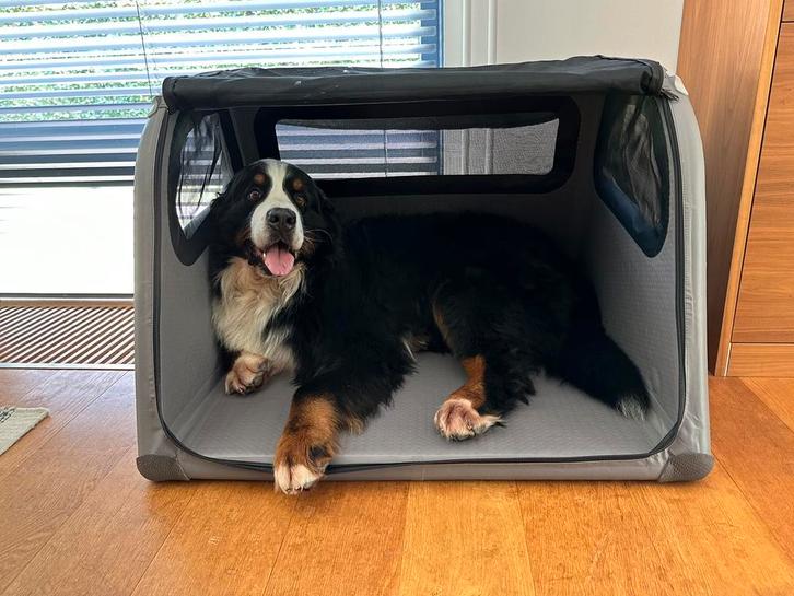 Porsche Tami Opblaasbare transportbox kofferbak + trapje, Dieren en Toebehoren, Transportboxen, Zo goed als nieuw, Ophalen