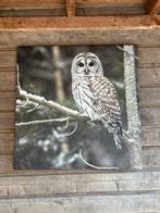 Canvasdoek uil, Ophalen, Gebruikt