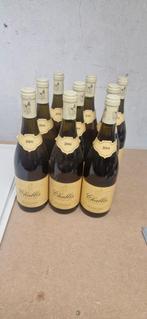 Chablis 2004 - 60 flessen keldervondst, Verzamelen, Ophalen of Verzenden, Gebruikt, Frankrijk, Witte wijn