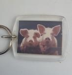 Varkens, Ophalen of Verzenden, Nieuw
