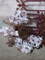 Zeepokken schelpen, J, Nieuw, Ophalen of Verzenden, J