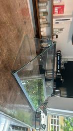 Brood beschermer, Restaurant