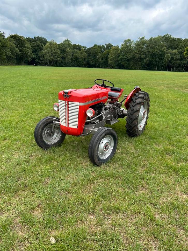 Massey Ferguson 30, bj 1964, NL kenteken, Zakelijke goederen, Agrarisch | Tractoren, 5000 tot 7500, Massey Ferguson, tot 80 Pk