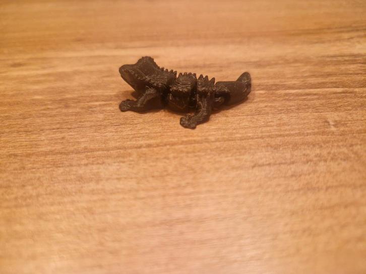 Wimpergekko van Bio Plastic