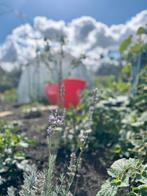 Nieuwe Subbubble / kas, Ophalen of Verzenden, Nieuw, Aluminium