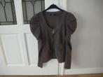 leuk grijs vest met pofmouw merk anna scott maat 38/40, Ophalen of Verzenden, Zo goed als nieuw, Maat 38/40 (M), Grijs