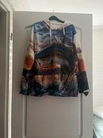 Trui van een vis, Kleding | Heren, Ophalen of Verzenden, Zo goed als nieuw, Maat 52/54 (L)