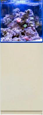 Blue marine 125l brakwater met flinke pufferfish, Ophalen, Gebruikt, Gevuld zeewateraquarium