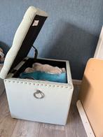 Storage chest, Ophalen of Verzenden, Zo goed als nieuw