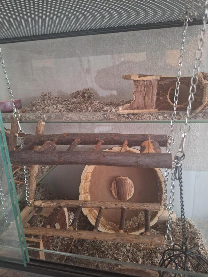 Gerbilarium Gerbilhok met 2 plateaus en onderkast., Dieren en Toebehoren, Knaagdieren en Konijnen | Hokken en Kooien, Gebruikt