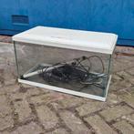 Aquarium 60x30x32cm (60L) – Witte Kap – Incl. Accessoires (D, Ophalen, Gebruikt, Leeg aquarium