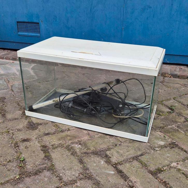 Aquarium 60x30x32cm (60L) – Witte Kap – Incl. Accessoires (D, Dieren en Toebehoren, Vissen | Aquaria en Toebehoren, Gebruikt, Leeg aquarium