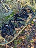 Longeerlijnen 8m Epplejeck en Waldhausen, Dieren en Toebehoren, Paarden en Pony's | Hoofdstellen en Tuigage, Ophalen of Verzenden