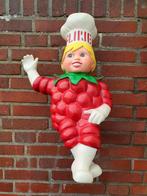 Gezocht: 2x Flipje Tiel (40-50cm), Ophalen, Gebruikt