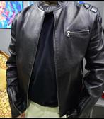 Prada jas, Ophalen, Zwart, Zo goed als nieuw, Prada