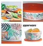 Tupperware ILUMINA doos trommel koektrommel 2,5 ltr oranje, Verzenden, Zo goed als nieuw, Oranje, Bak of Kom