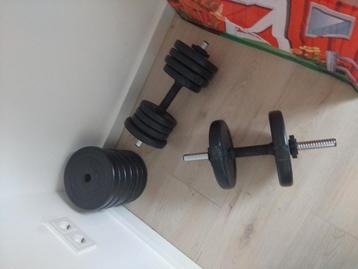 Dumbells met veel gewichten beschikbaar voor biedingen
